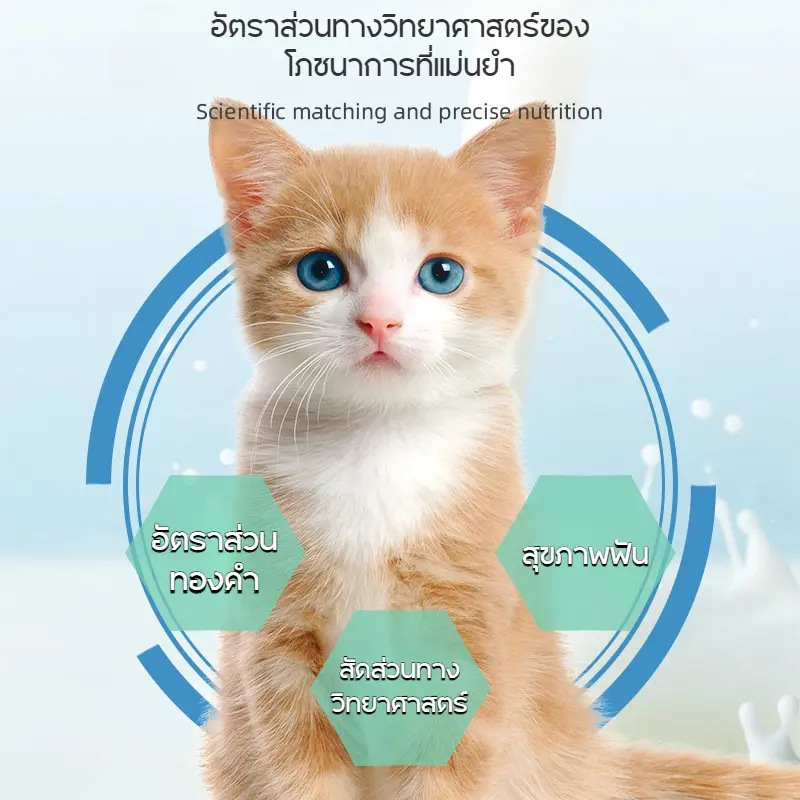 SKISOPGO ขนมหญ้าแมว คุกกี้เเมวรสมิ้น กลิ่นใบมินต์… - ภาพที่ 4
