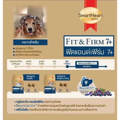 SmartHeart Gold Fit & Firm 7+ Adult สำหรับสุนัขโต… - ภาพที่ 4