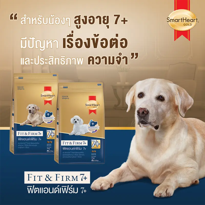 อาหารสุนัข SmartHeart Gold Fit and Firm 7+… - ภาพที่ 4