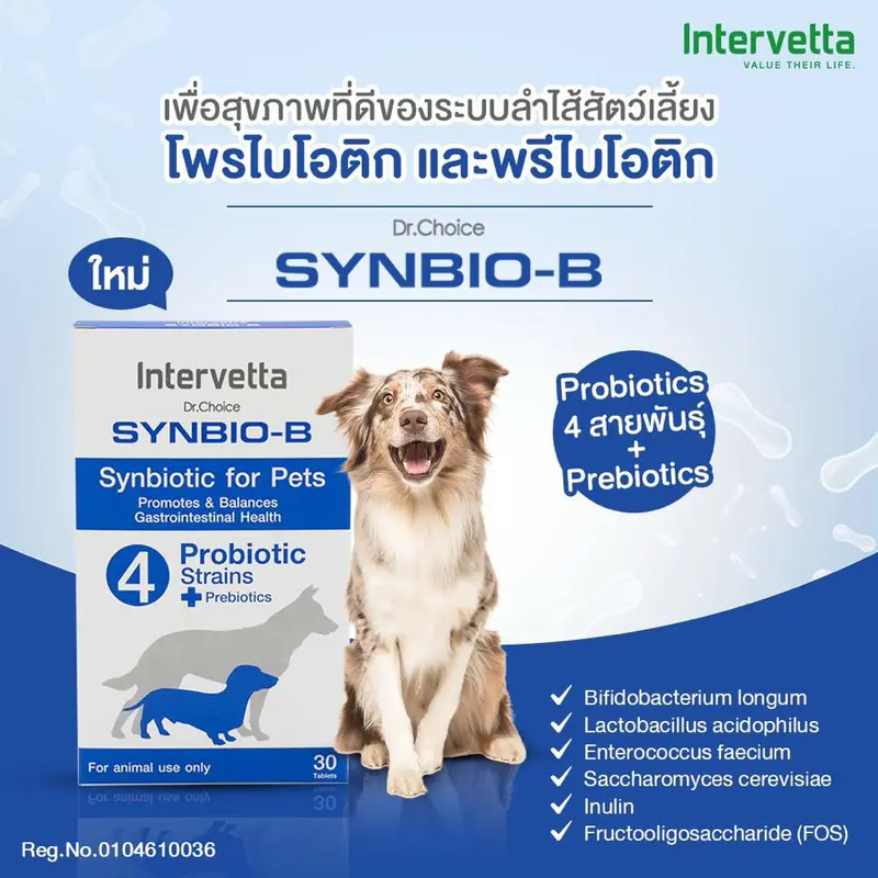 Synbio-B โปรไบโอติกสำหรับสัตว์เลี้ยงชนิดเม็ด (กล่อง 30… - ภาพที่ 3