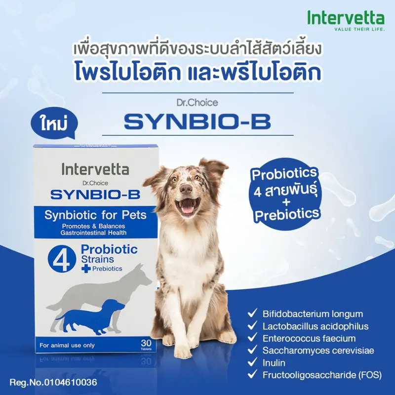 Synbio B โพรไบโอติก+พรีไบโอติก สุนัข-แมว… - ภาพที่ 3