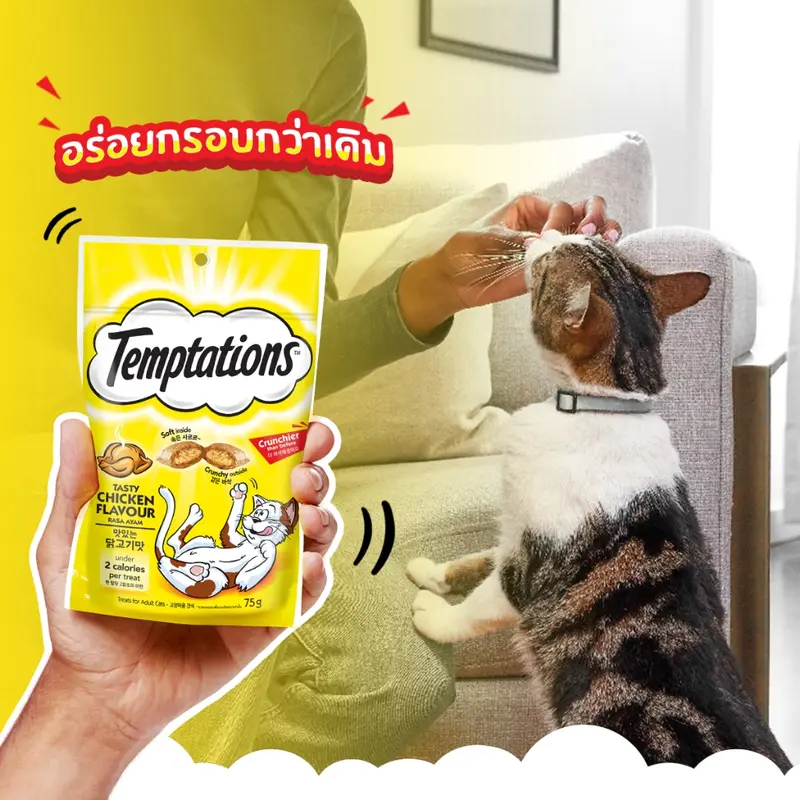 TEMPTATIONS ขนมแมวทุกรสชาติ 75 ก. (12 แพ็ก) TEMPTATIONS ขนมแมวทุกรสชาติ 75 ก. (12 แพ็ก)