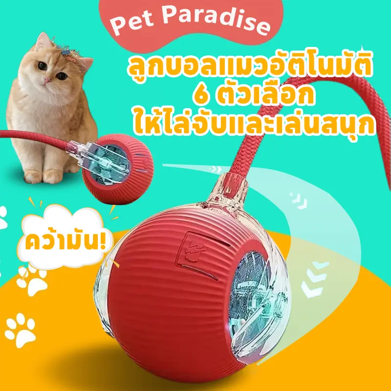 ของเล่นแมว ลูกบอลสัตว์เลี้ยง ของเล่นแมวอัจฉริยะ 6…