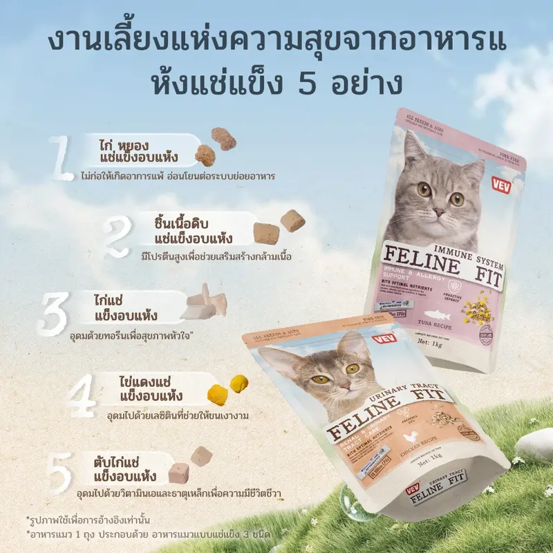 VEV แบ่งขาย 1 kg. Premium Cat Food Gluten Free - ภาพที่ 5