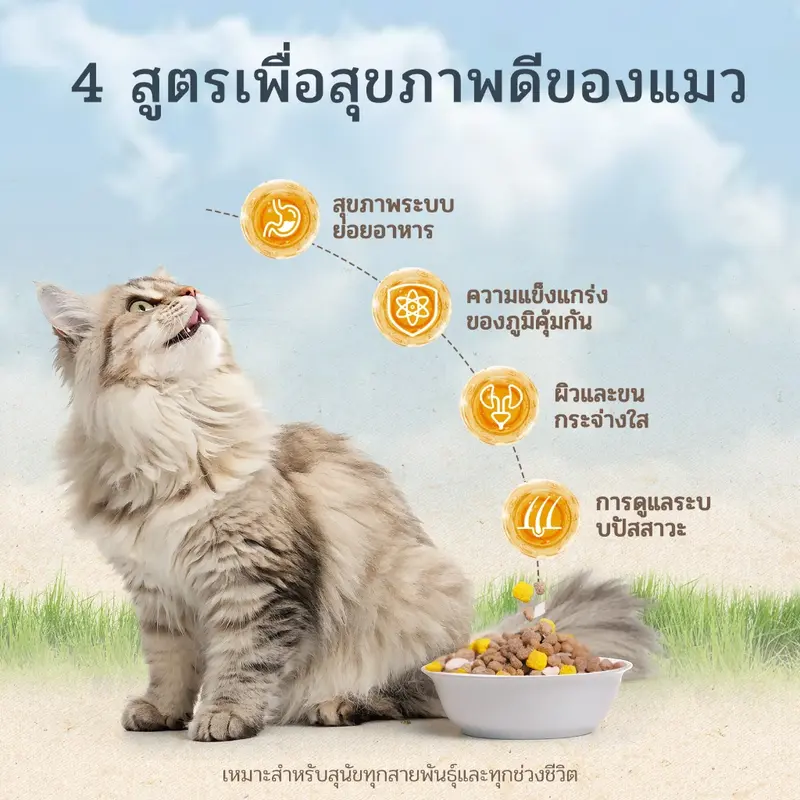 VEV แบ่งขาย 1 kg. Premium Cat Food Gluten Free - ภาพที่ 6