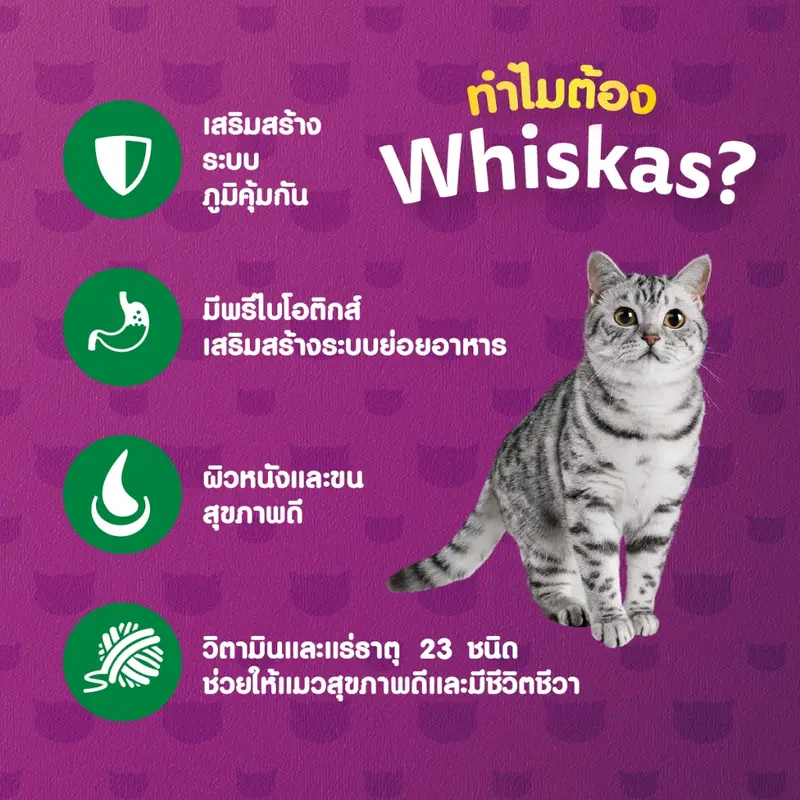 WHISKAS วิสกัส อาหารเม็ดแมวสำหรับแมวโต 3 กก - ภาพที่ 4