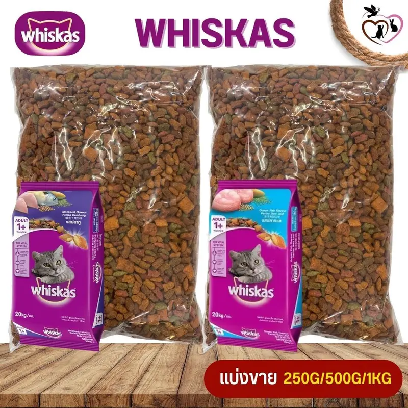WHISKAS อาหารเม็ดสำหรับแมวและลูกแมว…