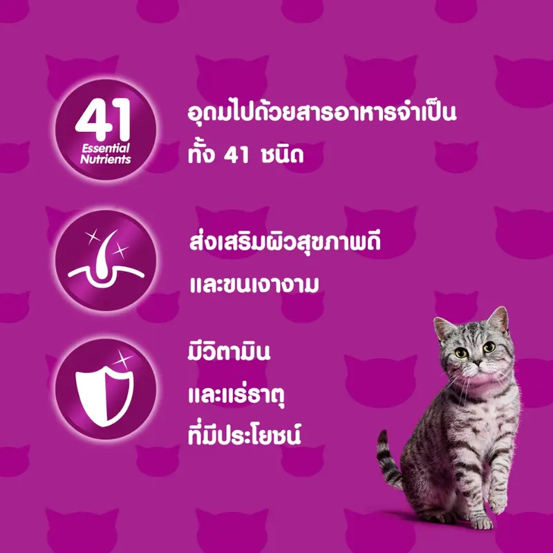 WHISKAS วิสกัส อาหารเปียกแมวโต ลูกแมว แพ็คสุดคุ้ม 80… - ภาพที่ 5