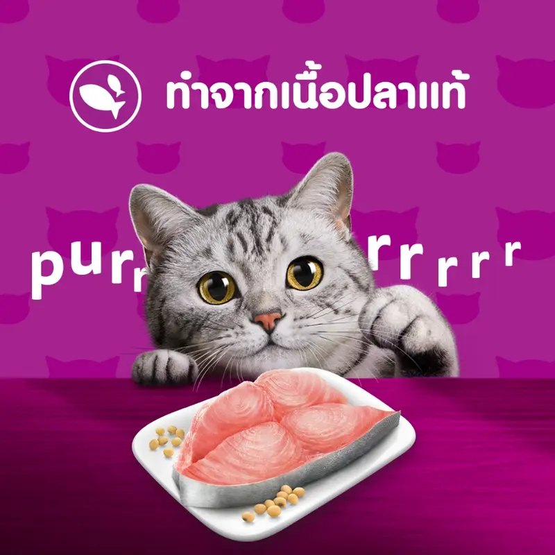 WHISKAS วิสกัส อาหารเปียกแมวโต ลูกแมว แพ็คสุดคุ้ม 80… - ภาพที่ 6