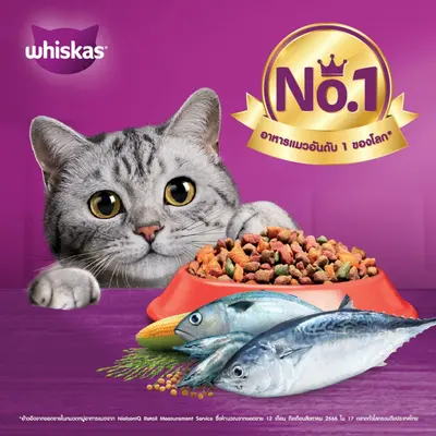 วิสกัส Whiskas อาหารแมวชนิดเม็ด ขนาด 6.5 - 7 kg - ภาพที่ 6