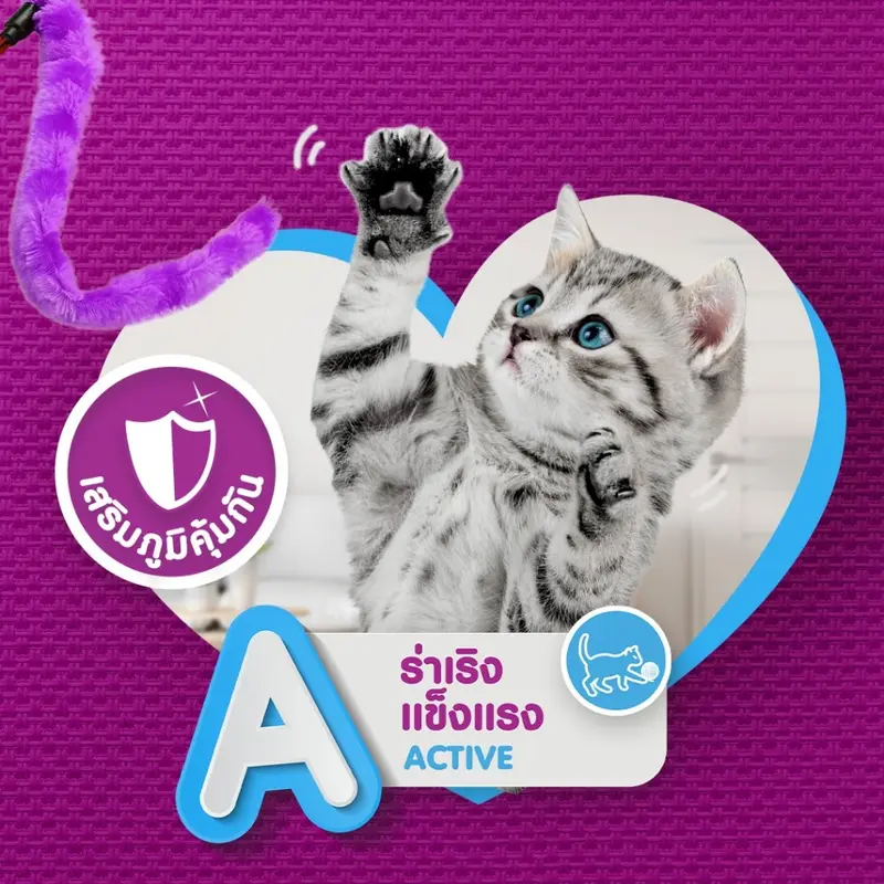 Whiskas วิสกัส… - ภาพที่ 5