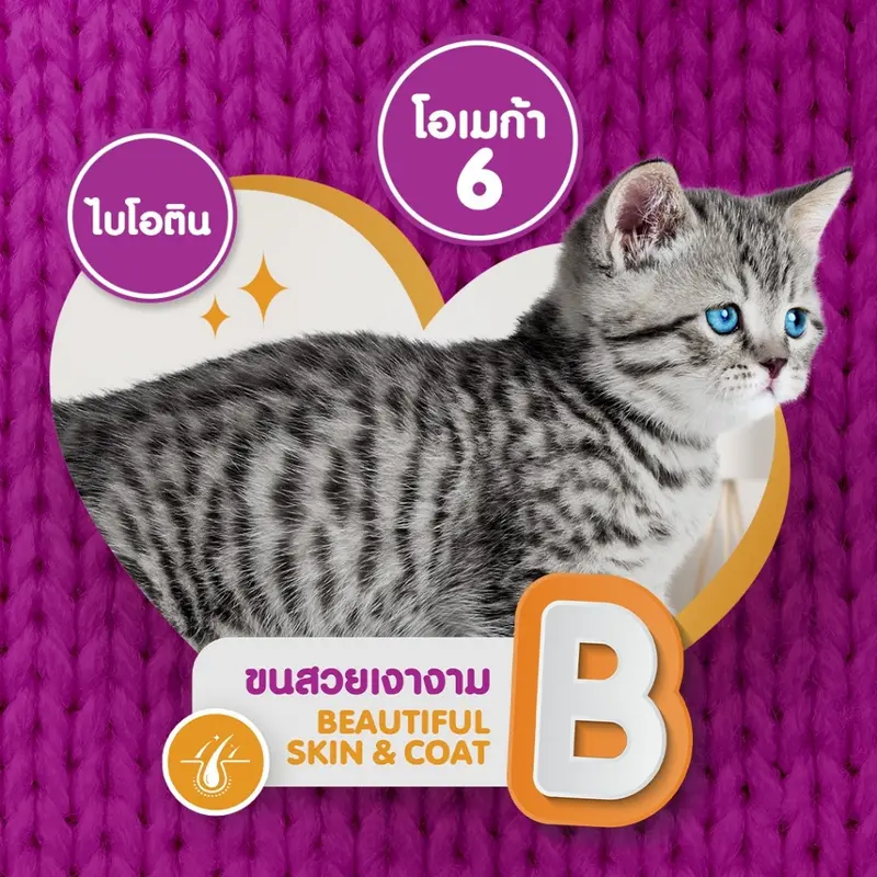 Whiskas วิสกัส… - ภาพที่ 6